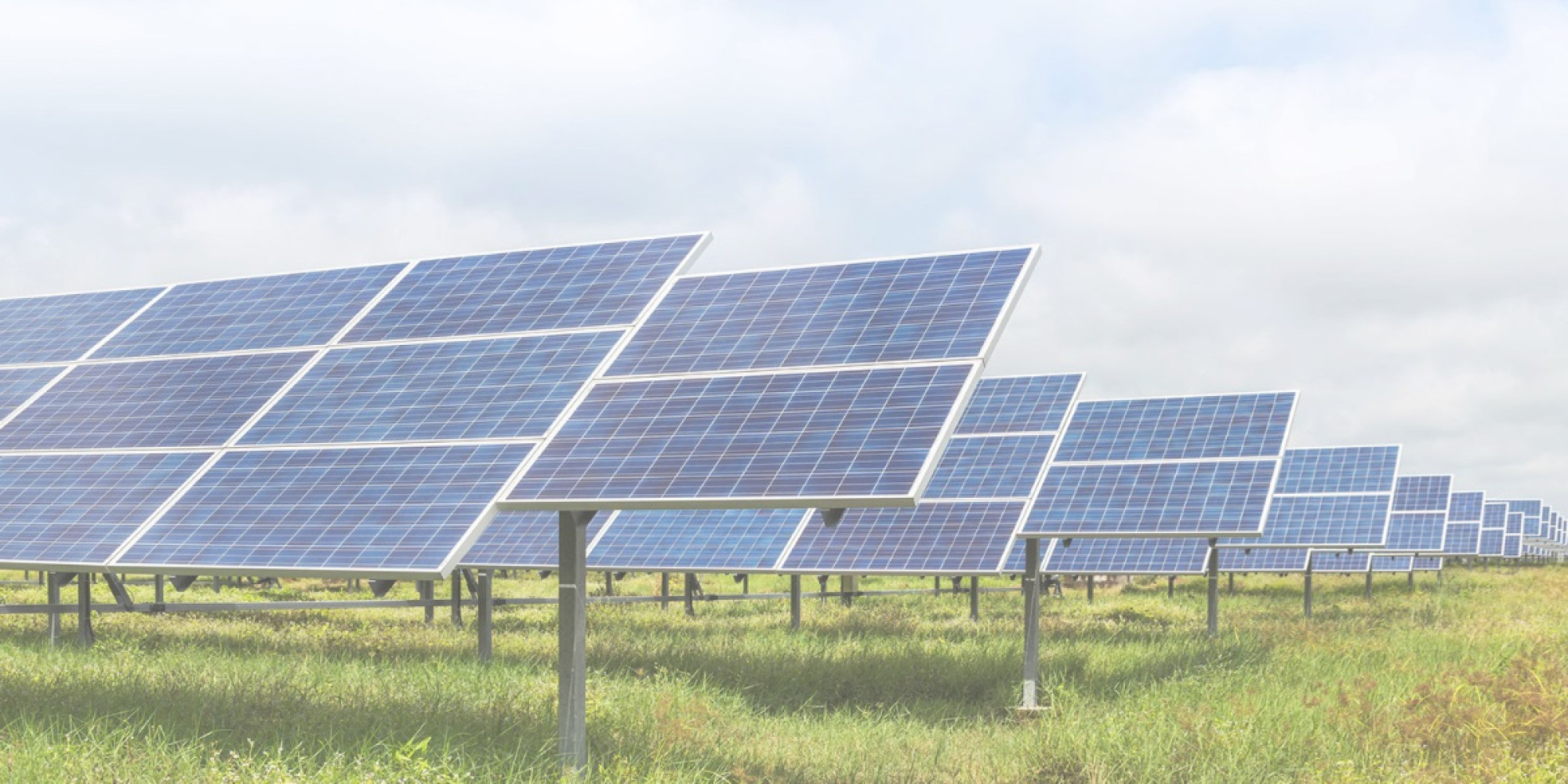 Solar Farm Panels