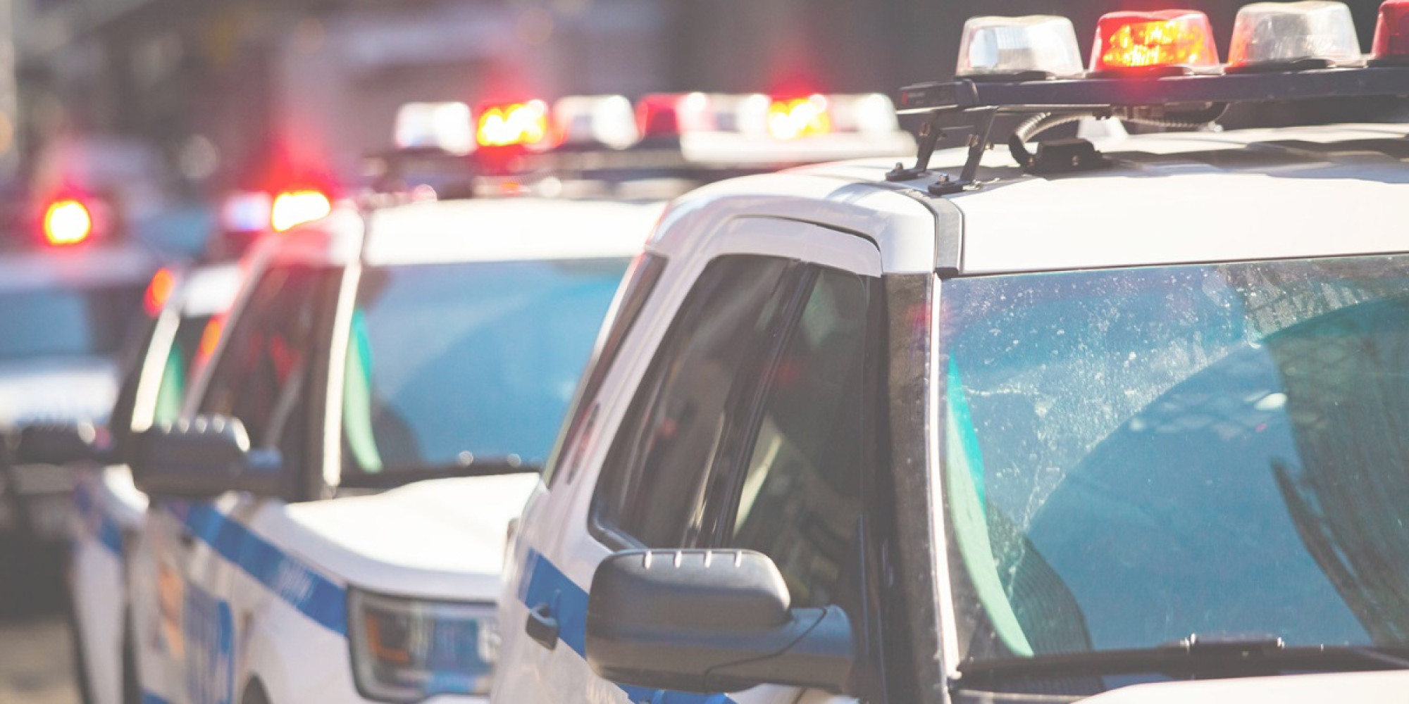 Row of Police Vehicles