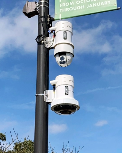 Two Pole Camera Units - Thumb